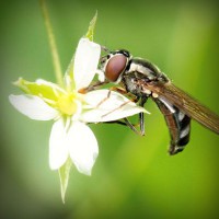 /album/austria-blog/photolia-a02-jpg/