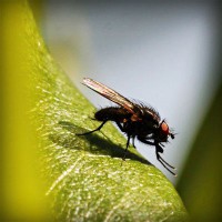 /album/austria-blog/photolia-a04-jpg/