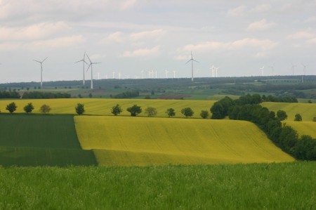 Weinviertel Blickrichtung Slowakei