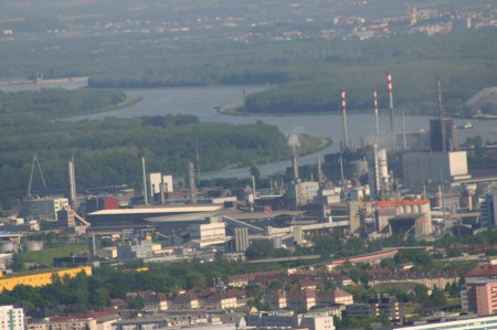 Donauschlinge bei Linz