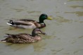 /album/fotogalerie/img-1025-jpg/