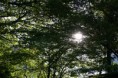 /album/fotogalerie/img-1104-jpg/