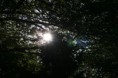 /album/fotogalerie/img-1105-jpg/