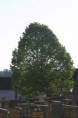 /album/fotogalerie/img-1109-jpg/
