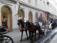 /album/fotogalerie/imgp2123-jpg/